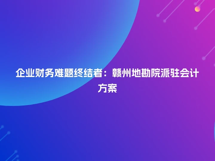 企业财务难题终结者：赣州地勘院派驻会计方案