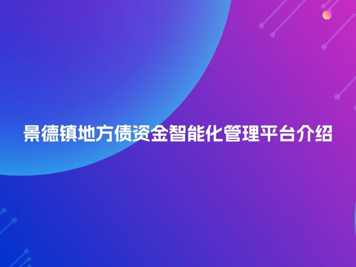 景德镇地方债资金智能化管理平台介绍