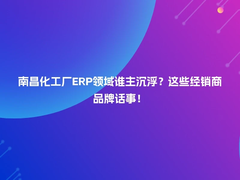 南昌化工厂ERP领域谁主沉浮？这些经销商品牌话事！